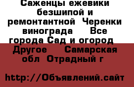 Саженцы ежевики безшипой и ремонтантной. Черенки винограда . - Все города Сад и огород » Другое   . Самарская обл.,Отрадный г.